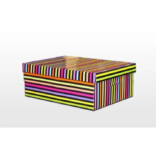 [815] CAJA C/TAPA CARTON JR MEDIANA FANTASIA/RAYAS/LISA           