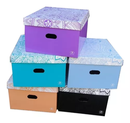 [811] CAJA C/TAPA CARTON JR MEGA    FANTASIA                      
